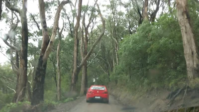 Wattle Hill - Photo 2