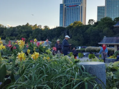 Niagara Falls - Photo 3
