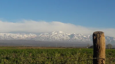 Ugarteche - Photo 3