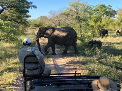 Sabi Sand Game Reserve - Photo 4