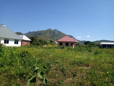 Morogoro - Photo 5