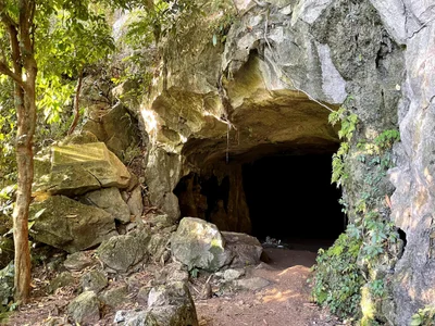 Cuc Phuong National Park - Photo 2