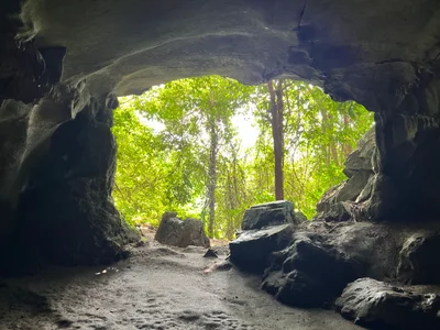 Cuc Phuong National Park - Photo 4