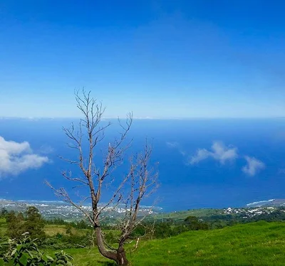 Piton Saint-Leu - Photo 3