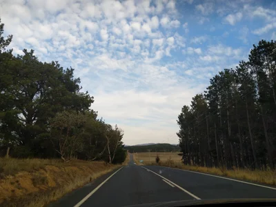 Sutton - Photo 2