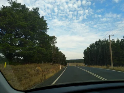 Sutton - Photo 3