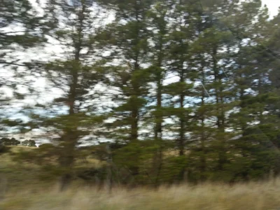 Sutton - Photo 4