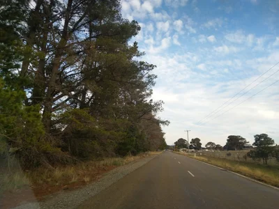 Sutton - Photo 5