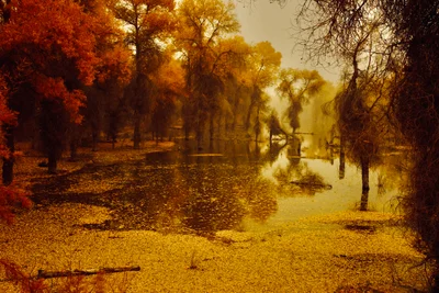 Aksu - Photo 2