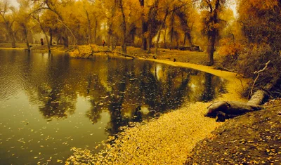 Aksu - Photo 5