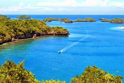 Alaminos - Photo 3