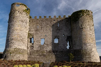 Carlow - Photo 3