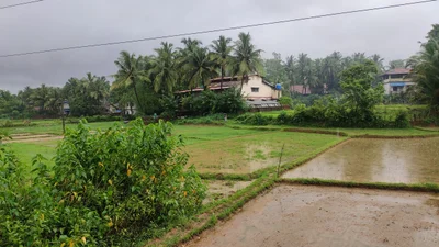 Kudal - Photo 4