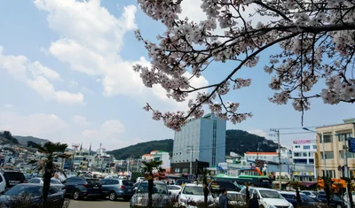Tongyeong-si - Photo 2