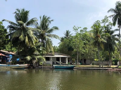 Balapitiya - Photo 3