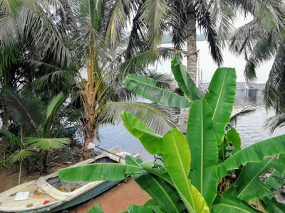 Balapitiya - Photo 4