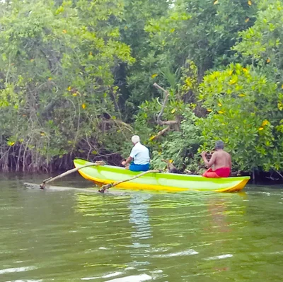 Balapitiya - Photo 5
