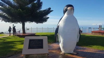 Penguin - Photo 2