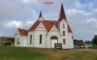 Penguin - Photo 3