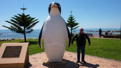Penguin - Photo 5