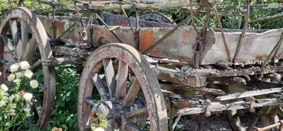 Evandale - Photo 5
