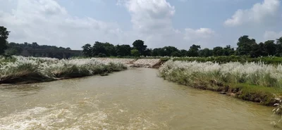 Mayurbhanj District - Photo 5