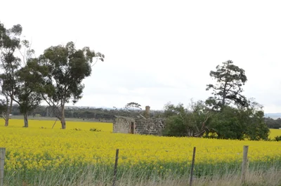 Romsey - Photo 2