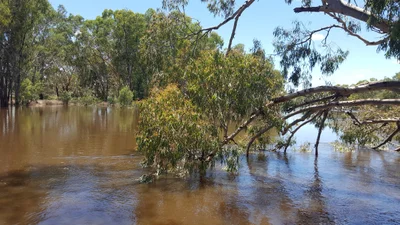 Bourke - Photo 2