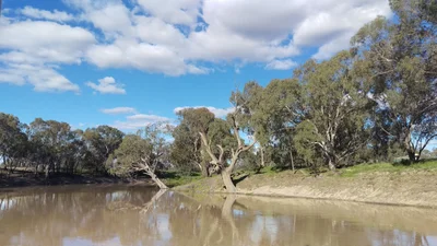 Bourke - Photo 4