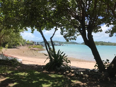 Shute Harbour - Photo 2