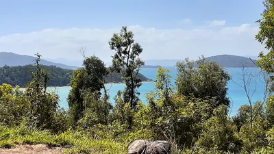 Shute Harbour - Photo 5