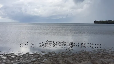 Deception Bay - Photo 4