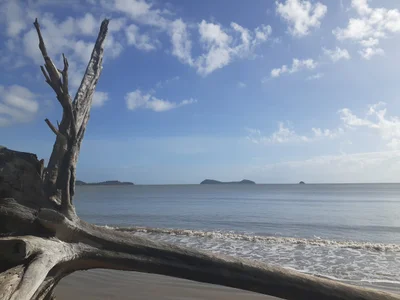 Kewarra Beach - Photo 5