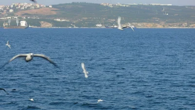 Sancaktepe - Photo 5