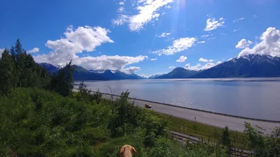 Anchorage - Photo 4