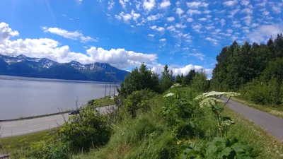 Anchorage - Photo 5