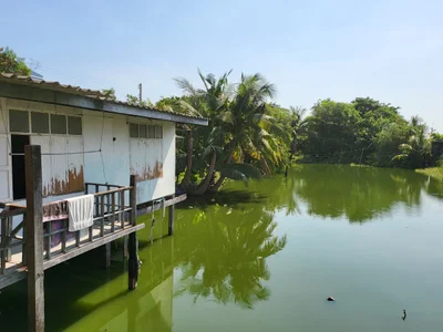 Pathum Thani Town Municipality - Photo 2