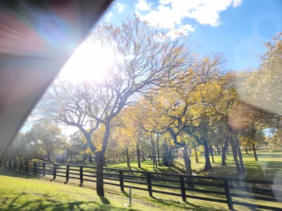Flower Mound - Photo 2