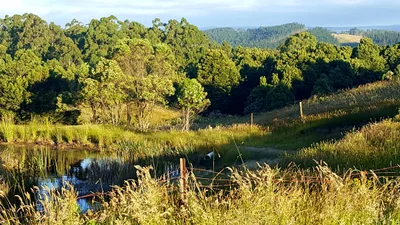Lavers Hill - Photo 5