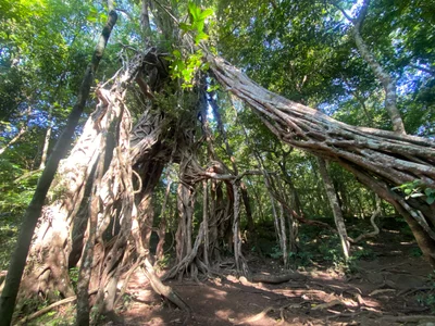 Cat Tien National Park - Photo 2