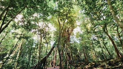 Cat Tien National Park - Photo 4