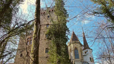 Gorgier - Photo 4