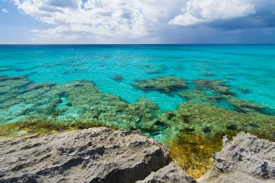 West Caicos - Photo 4