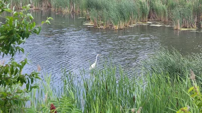 Laval (administrative region) - Photo 4