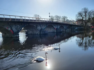 Carrick-on-Shannon - Photo 4