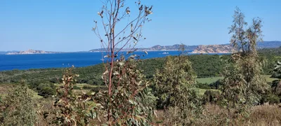 Trinita d'Agultu e Vignola - Photo 4