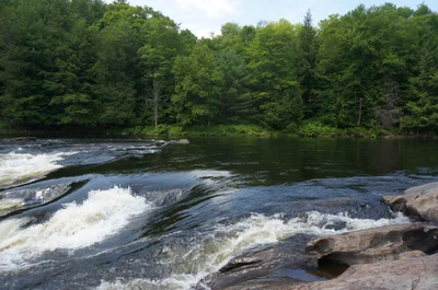 Rawdon - Photo 2
