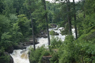Rawdon - Photo 3