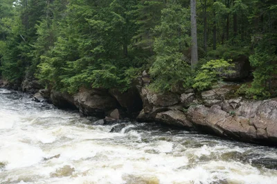 Rawdon - Photo 4