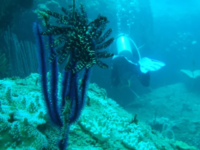 Perhentian Islands - Photo 5